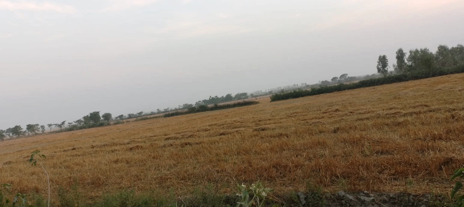 Mangli (Uchi), Ludhiana, Punjab, India