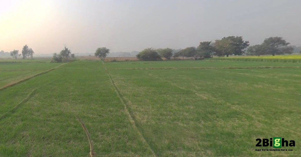 Mohanlalganj, Uttar Pradesh 226301, India