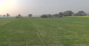 Mohanlalganj, Uttar Pradesh 226301, India preview 2