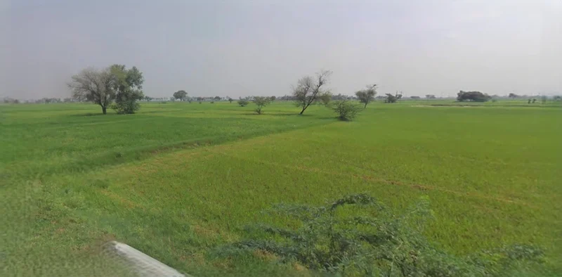 Ratlam, Madhya Pradesh 457001, India preview 3