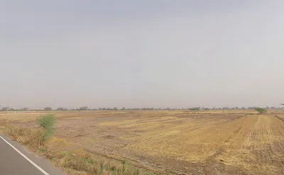 Luhari, Haryana 124108, India preview 2