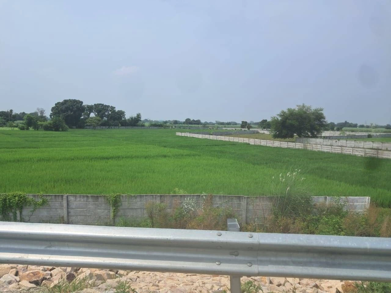 P7X8+7VH, Ayodhya, Sita Rampur, Uttar Pradesh 224171, India