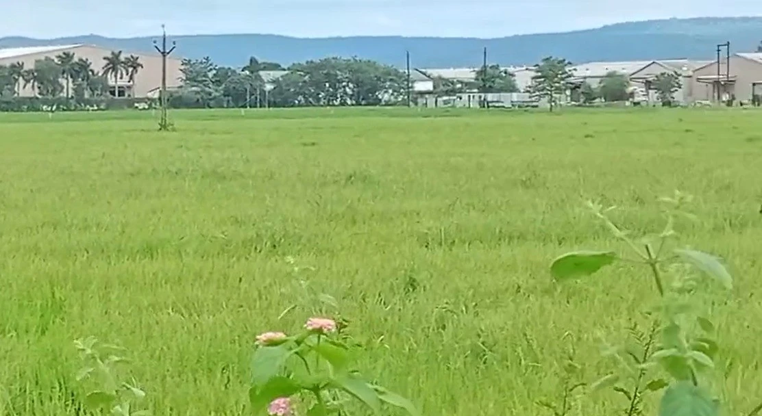 4HQJ+8HP, Rojda Chak, Madhya Pradesh, India