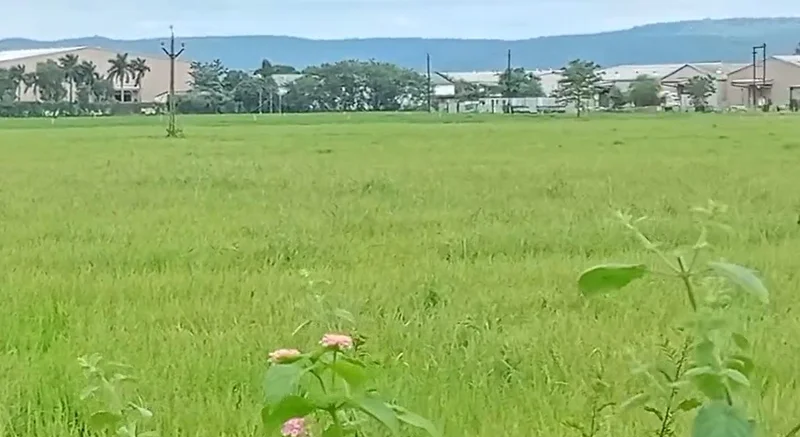 4HQJ+8HP, Rojda Chak, Madhya Pradesh, India preview 3