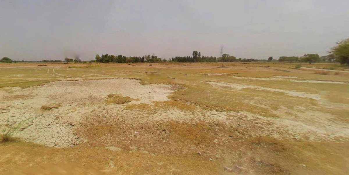 Barnagar, Madhya Pradesh 456771, India