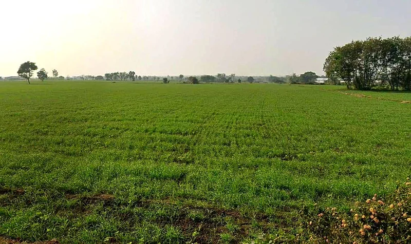 Shujalpur, Madhya Pradesh 465333, India preview 3