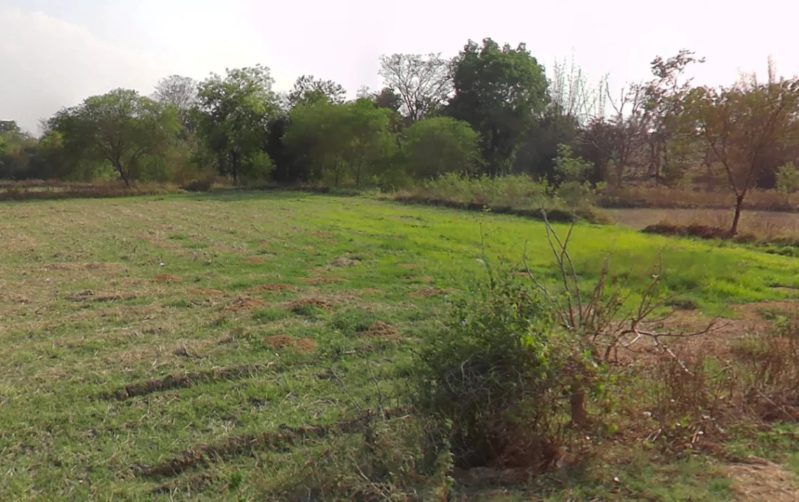 Jairamnagar, Chhattisgarh 495550, India preview 2