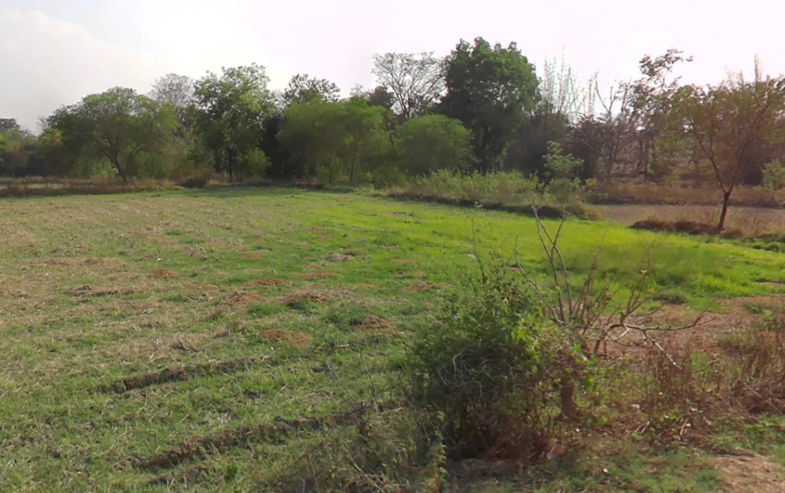 Jairamnagar, Chhattisgarh 495550, India