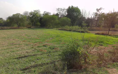 Jairamnagar, Chhattisgarh 495550, India preview 2