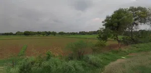 Sri Ganganagar, Rajasthan, India preview 2
