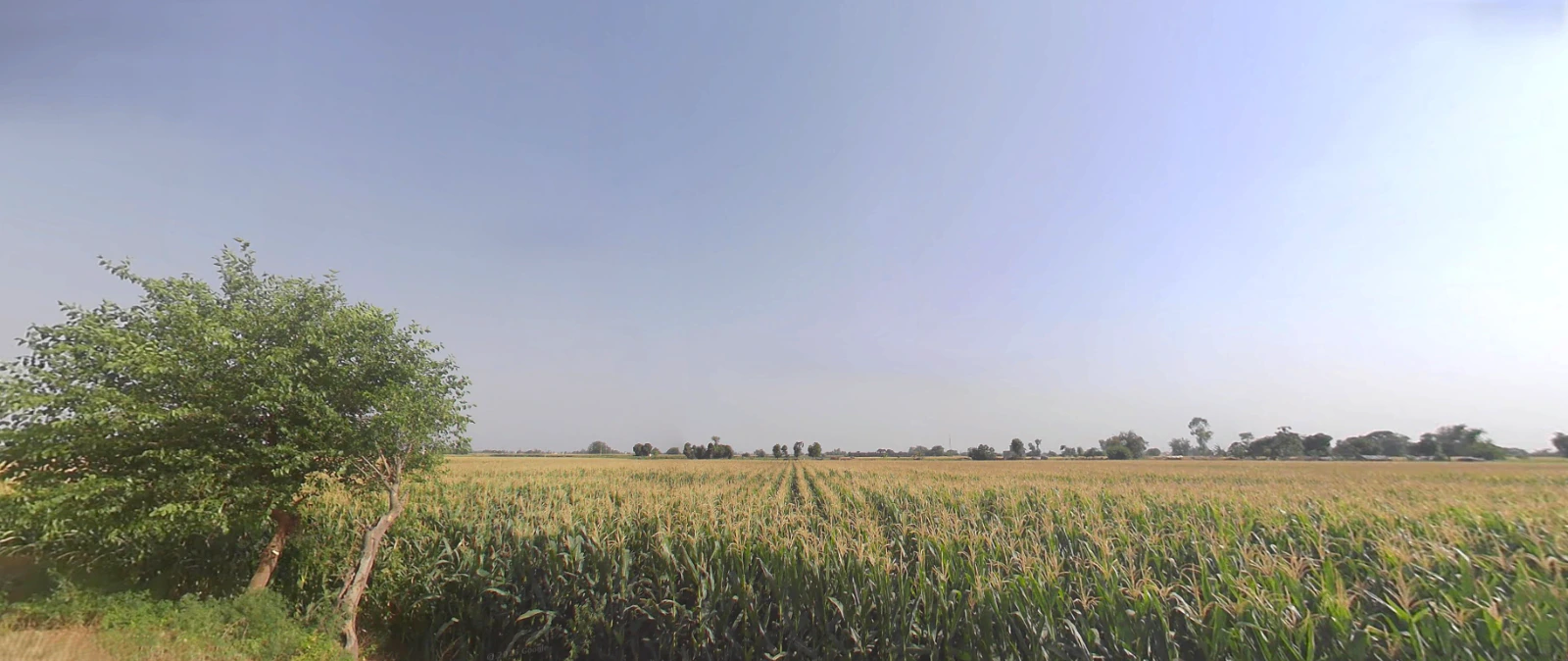 Jwalapur, Uttarakhand, India
