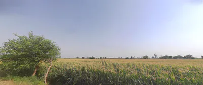 Jwalapur, Uttarakhand, India preview 2