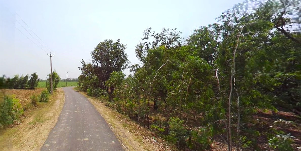 Bijnor, Uttar Pradesh 246701, India