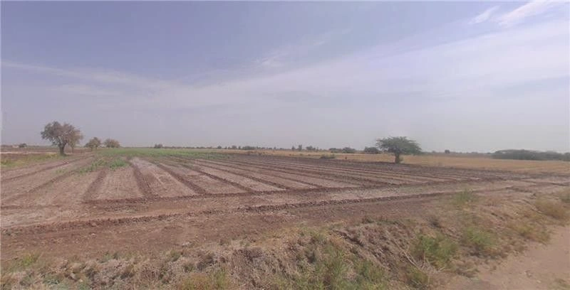 Gedi, Gujarat 370165, India