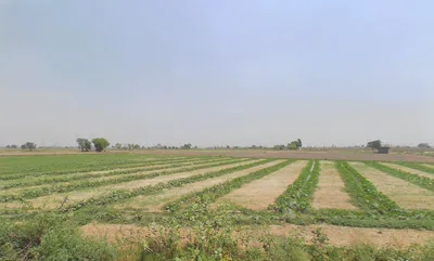 Kundli, Sonipat, Haryana, India preview 2