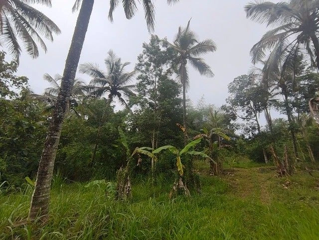 R5QV+2Q Padichira, Kerala, India