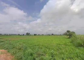 Agra-Jaipur Rd, Amoli, Rajasthan, India preview 3