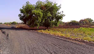 Bagfal, Madhya Pradesh 451115, India preview 3