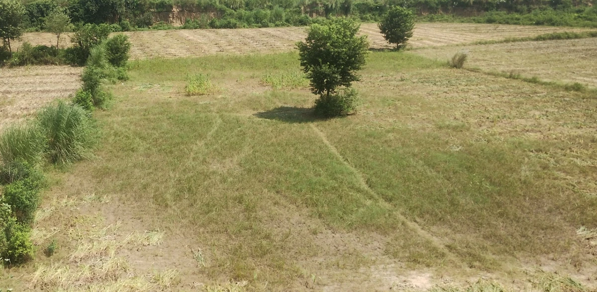 Sahajpur, Rajasthan, India