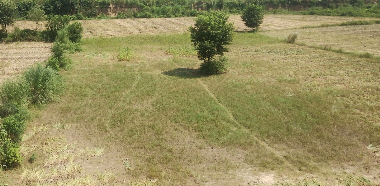 Sahajpur, Rajasthan, India