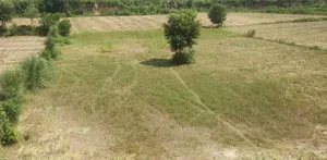 Sahajpur, Rajasthan, India preview 2