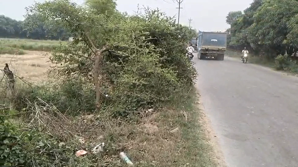 WQCJ+83Q, Malihabad, Uttar Pradesh 226102, India