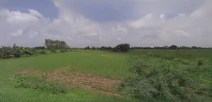 Mandsaur, Madhya Pradesh, India preview 2