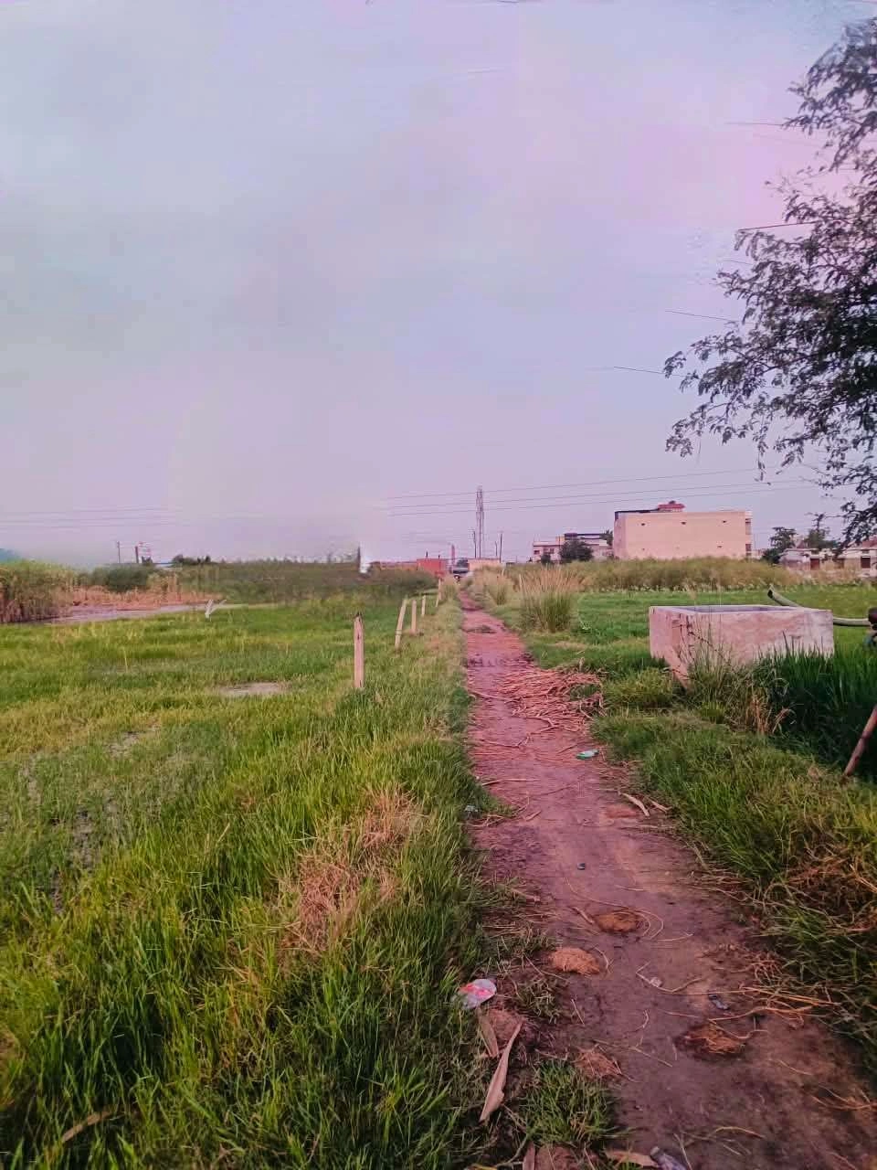 Baraka, Mathura, Uttar Pradesh, India