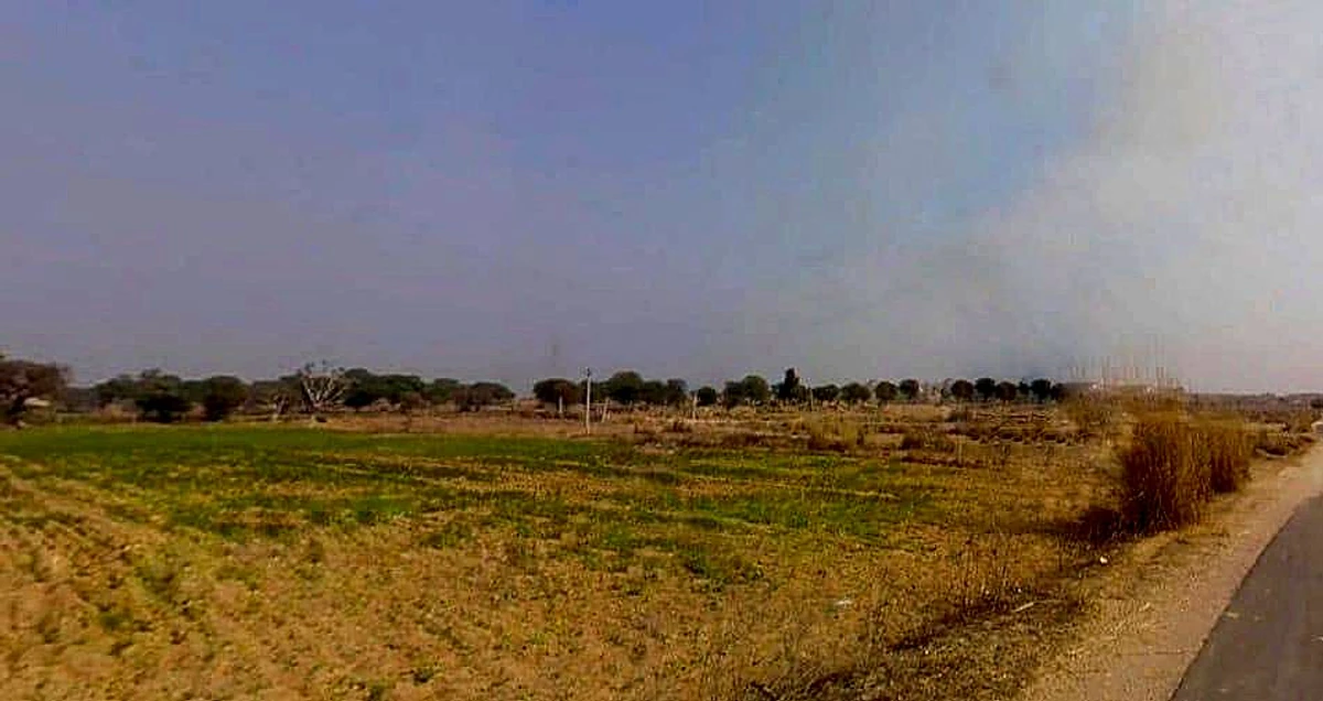 7XFG+554, Lakher, Rajasthan 303104, India