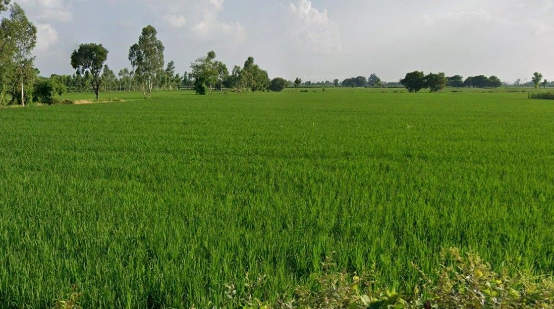 Nemawar, Madhya Pradesh 455339, India