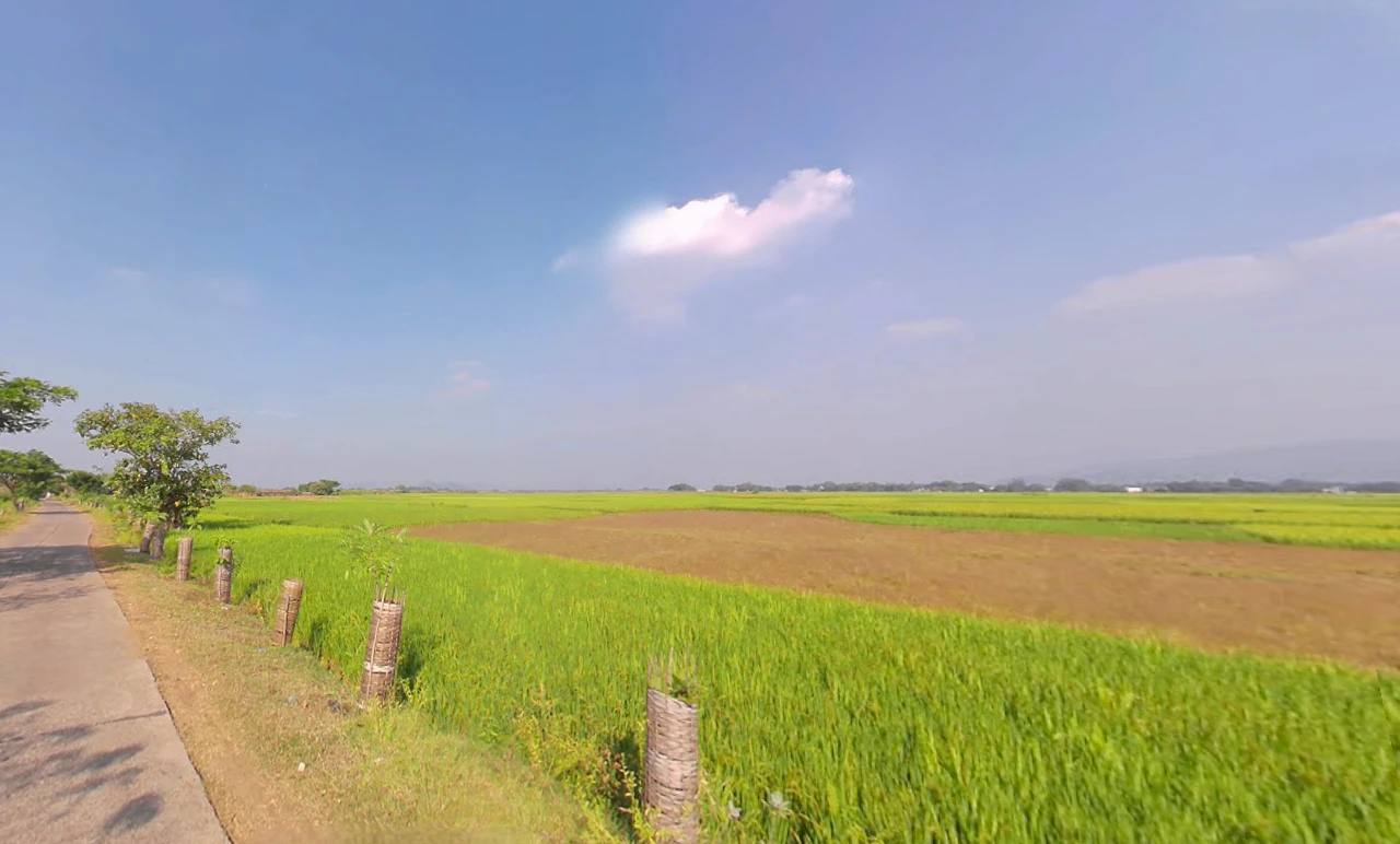 Nuagaon, Odisha 759141, India