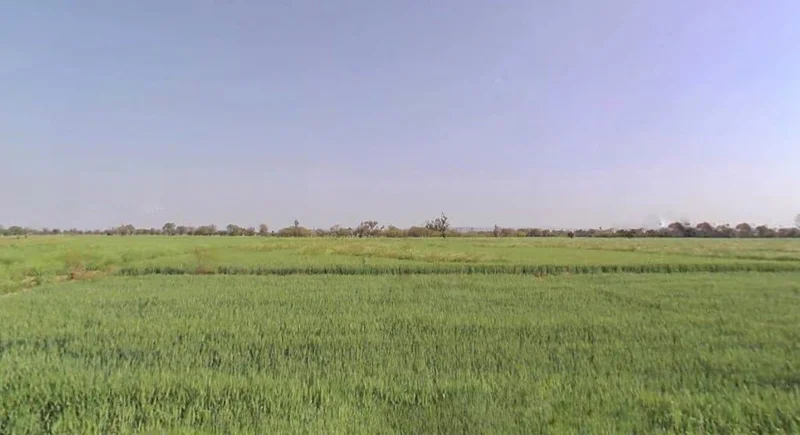 Maujpur, Rajasthan, India preview 3