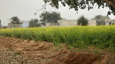 Nurpur Bedi, Punjab 140117, India preview 3
