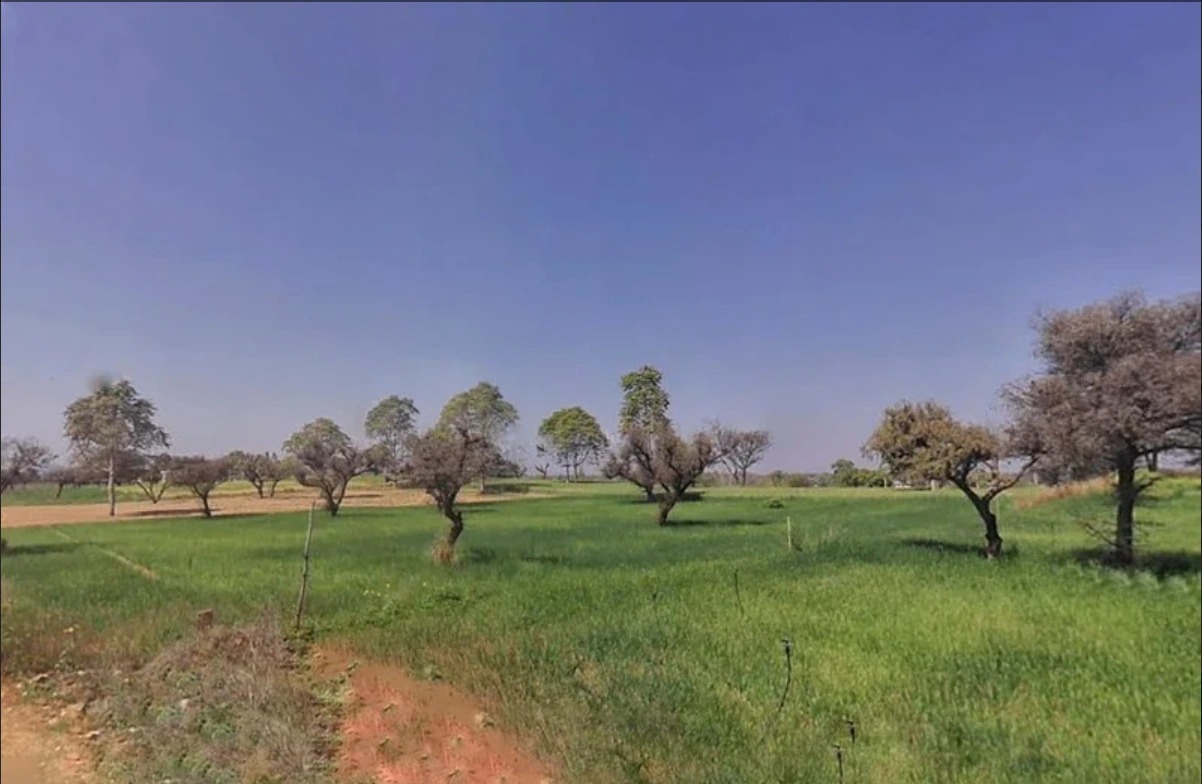 996Q+7MX, Khatoo, Rajasthan 332602, India