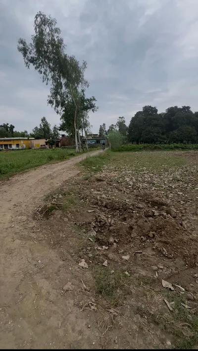 Chilkana, Saharanpur, Uttar Pradesh 247231, India preview 3