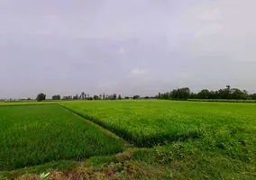 FR9Q+X3X, Kasampur, Rahkera, Uttar Pradesh 251308, India preview 2