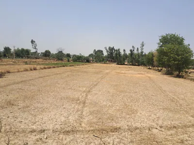 Poora Kalandar Thana - Billaharghat Road, Abanpur Saroha, Arwawa, Uttar Pradesh 224201, India preview 3