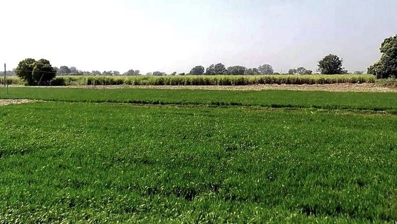 Chirula, Madhya Pradesh, India