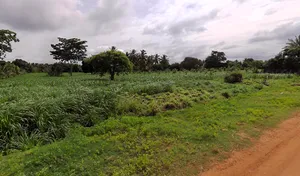 Gaddige, Karnataka 571189, India preview 3