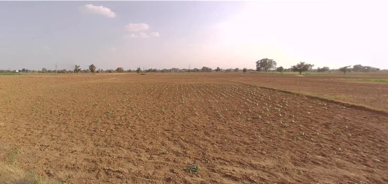 Rajgarh, Rajasthan 301408, India preview 3