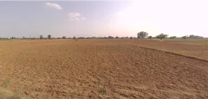 Rajgarh, Rajasthan 301408, India preview 3