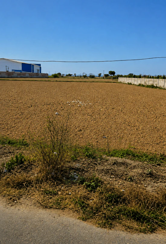 W4HG+P7P, Sonipat, Sevli, Haryana 131023, India