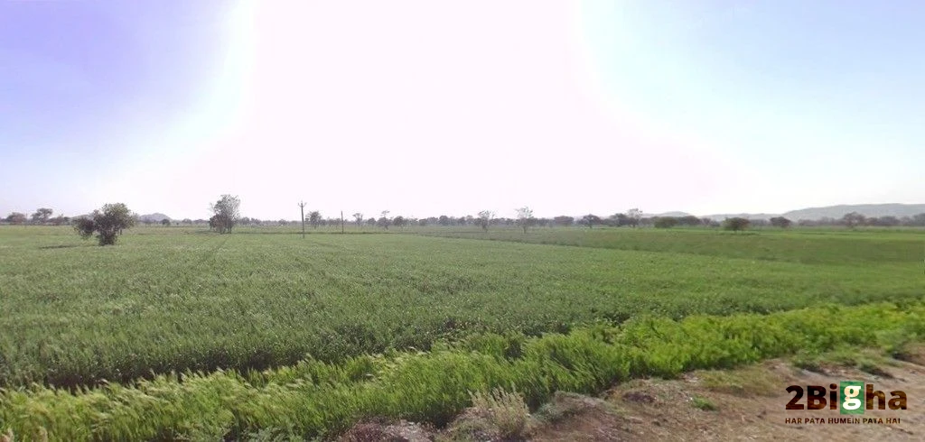 Mohanpura, Rajasthan, India