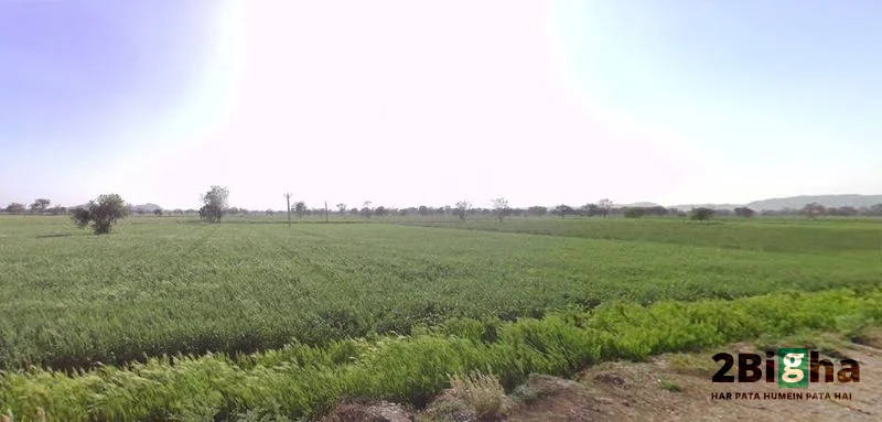 Mohanpura, Rajasthan, India preview 3