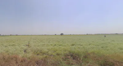 Degave, Maharashtra 416511, India preview 3