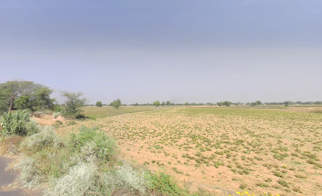 Tarkan Wali, Haryana 125110, India