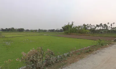 Kranti, West Bengal 735218, India preview 3