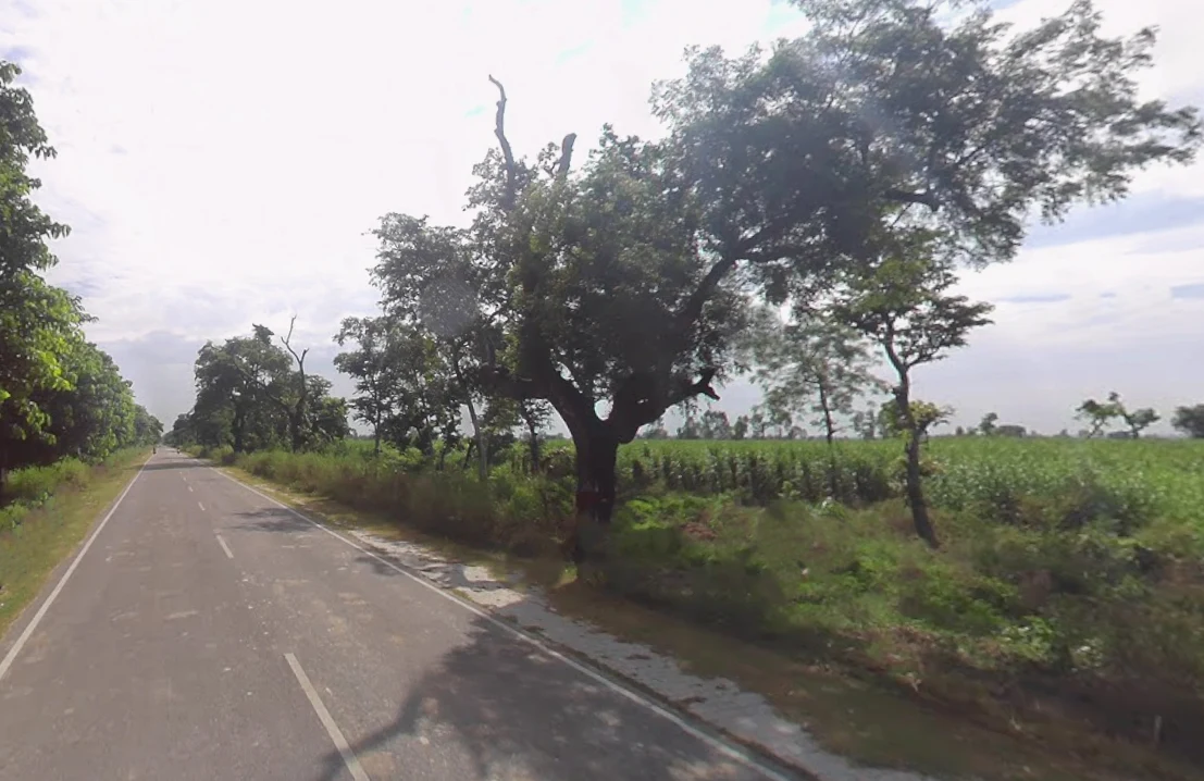 Azadpur Mafi, Uttar Pradesh 244235, India