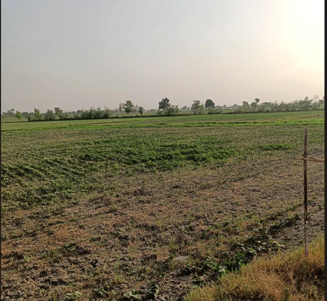Nurpur Bedi, Punjab 140117, India
