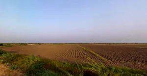 Ambliyara, Gujarat 383325, India preview 2